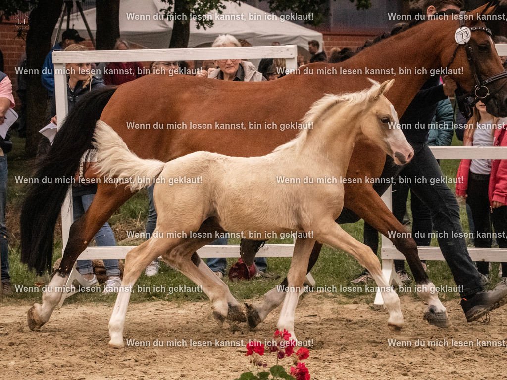 A10I2082 15.54.45 | photographylinaismer - Realisiert mit Pictrs.com