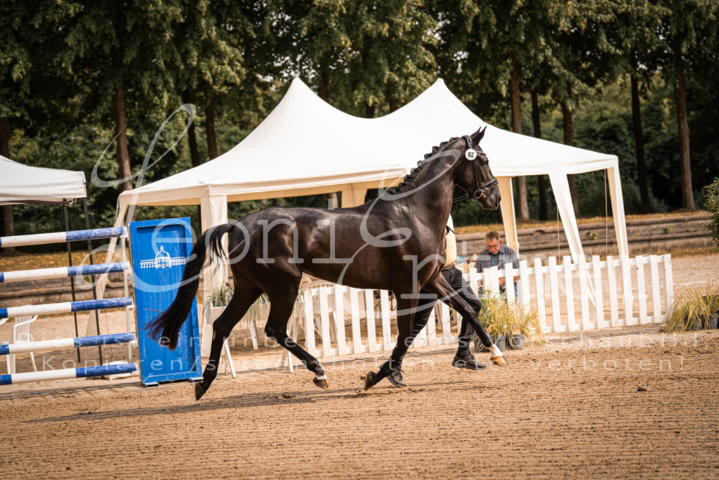 FrER00012 | Leoni Ertmer Photography - Realisiert mit Pictrs.com