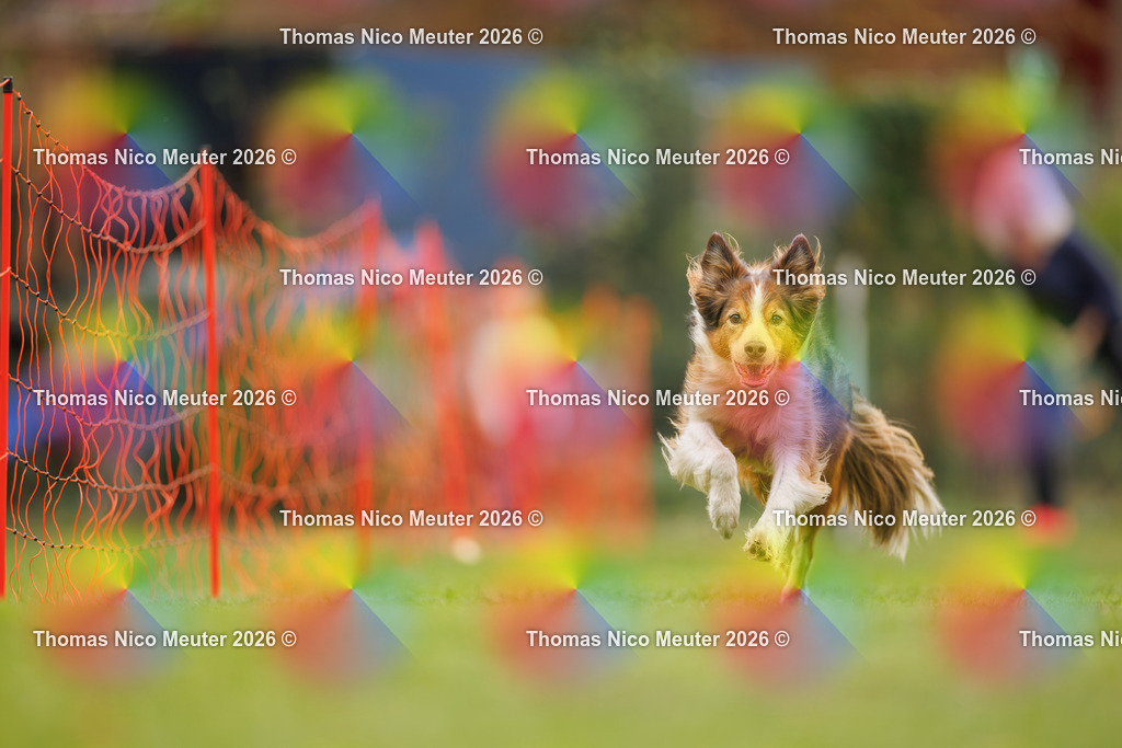 Thomas_Nico_Meuter(C)_26. September 2026_223A2106 | Bild von Thomas Nico Meuter - Realisiert mit Pictrs.com