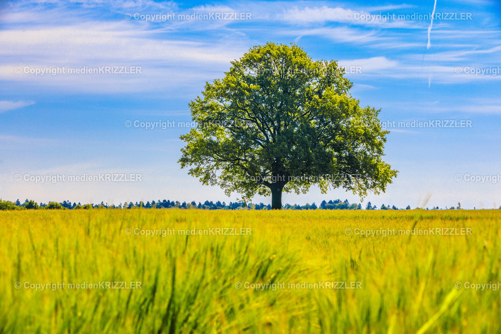 _J3A7830 | medienkrizzler - Realisiert mit Pictrs.com