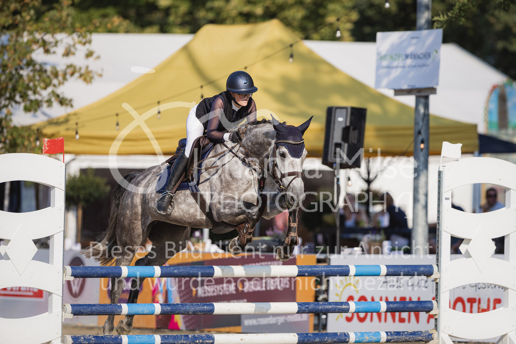 230823_Delbrueck_Stil-A1-103 | Deine schönsten Turniermomente als professionelle Fotos! Entdecke hochwertige Pferdesport-Fotografie im Online-Shop. Jetzt Fotos finden & bestellen!