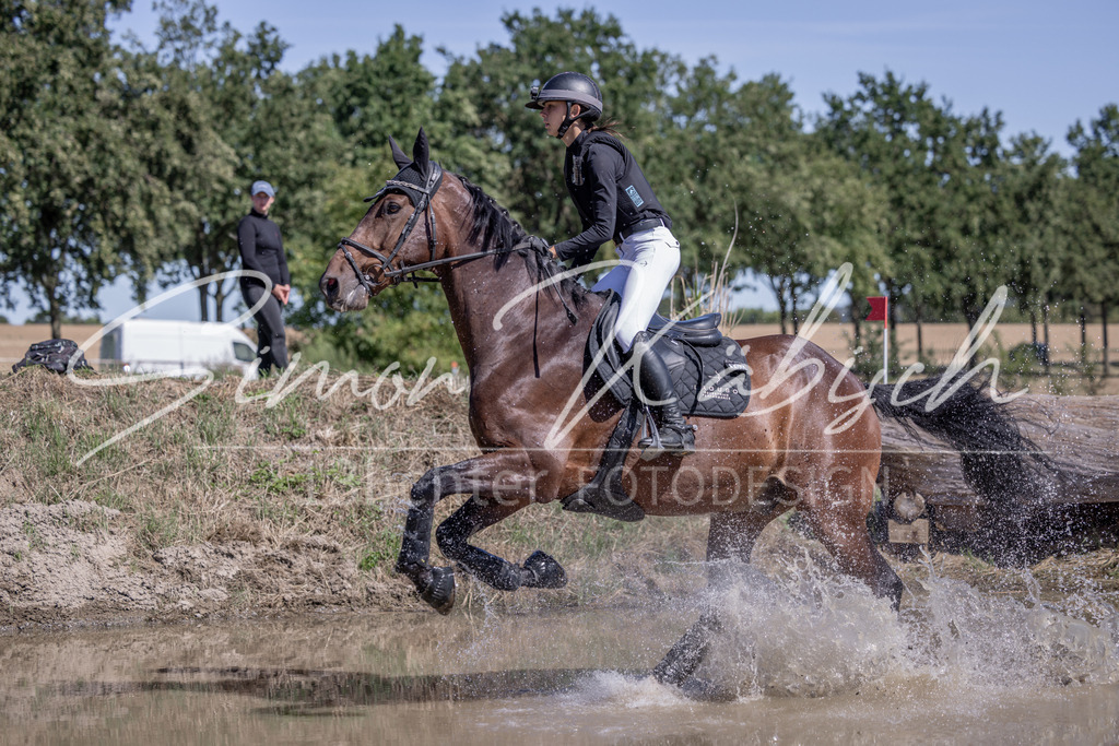 20260906-_3LI4242 | Tierfotografie Pferde, Hunde, Katzen, Haustiere.
Turnierfotografie Reitturniere, Reiten, Springreiten, Dressur in Hanau, dem Main-Kinzig-Kreis und dem Rhein-Main- Gebiet um Frankfurt