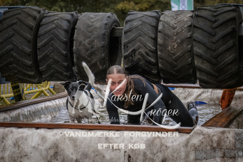 1617_ZZ92982 | kk-dogfotos