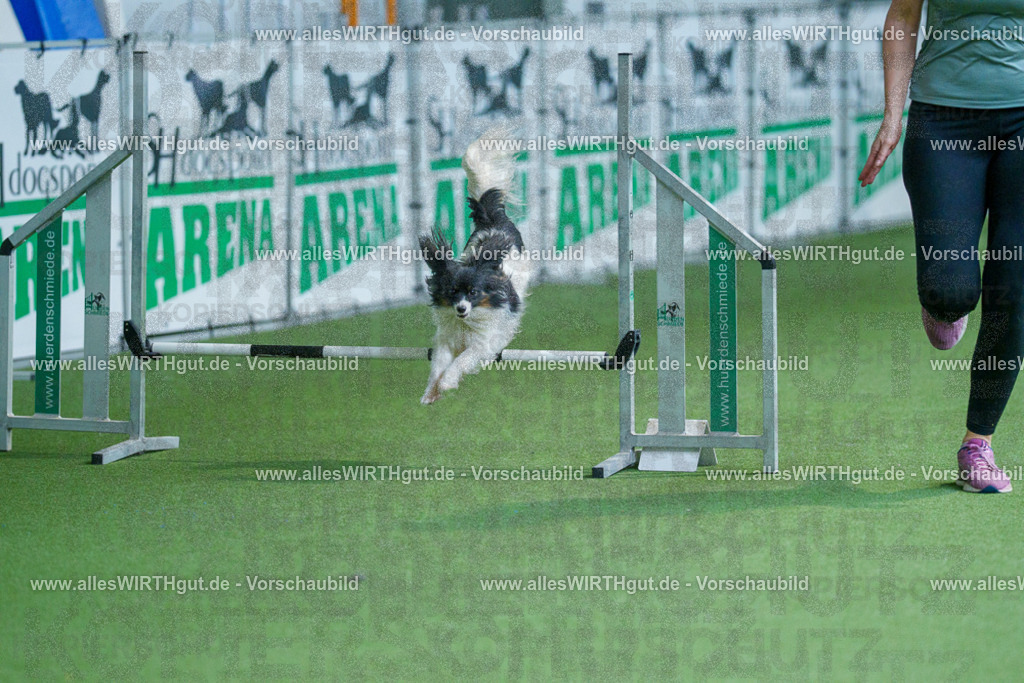 @allesWIRTHgut_Tierfotografie - www.allesWIRTHgut.de - 2604251449-7R505601 | Professionelle Tierfotografie in Mönchengladbach von Daniel Wirth (allesWIRTHgut). Liebevolle & natürliche Bilder von Hunden & Katzen für unvergessliche Erinnerungen.