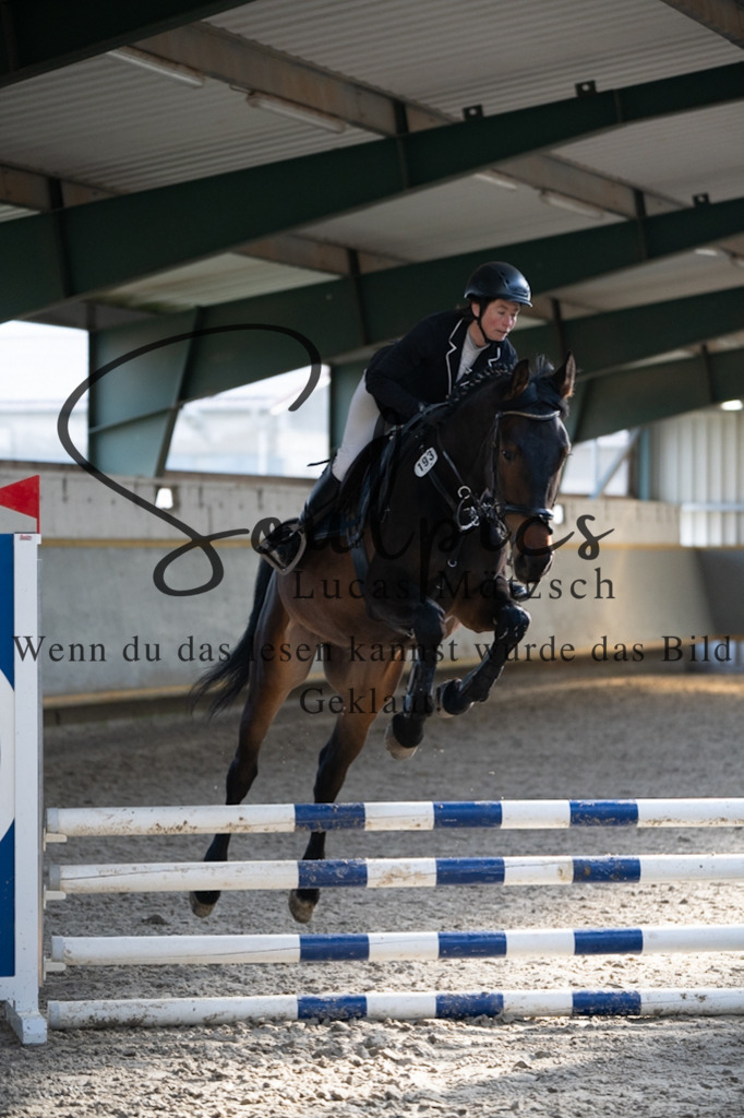 A7V07767 | Pferdefotograf