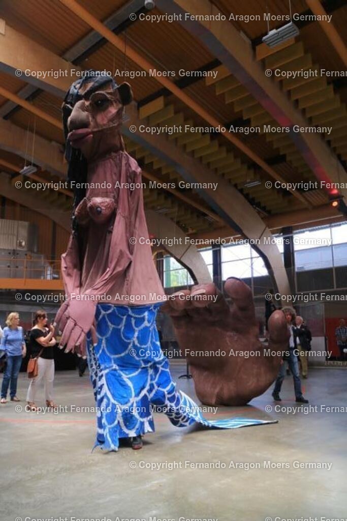 IMG_4852 | aragon-pics - Realisiert mit Pictrs.com