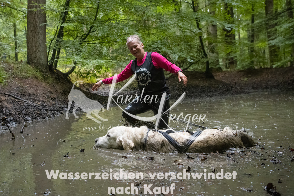 1036_ZZ92754-Bearbeitet | kk-dogfotos