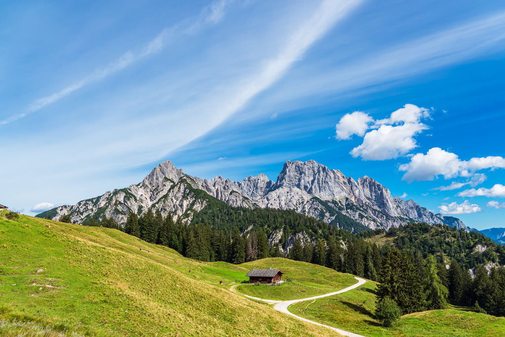 Blick auf die Litzlalm mit Hütte in Österreich | Blick auf die Litzlalm mit Hütte in Österreich.
