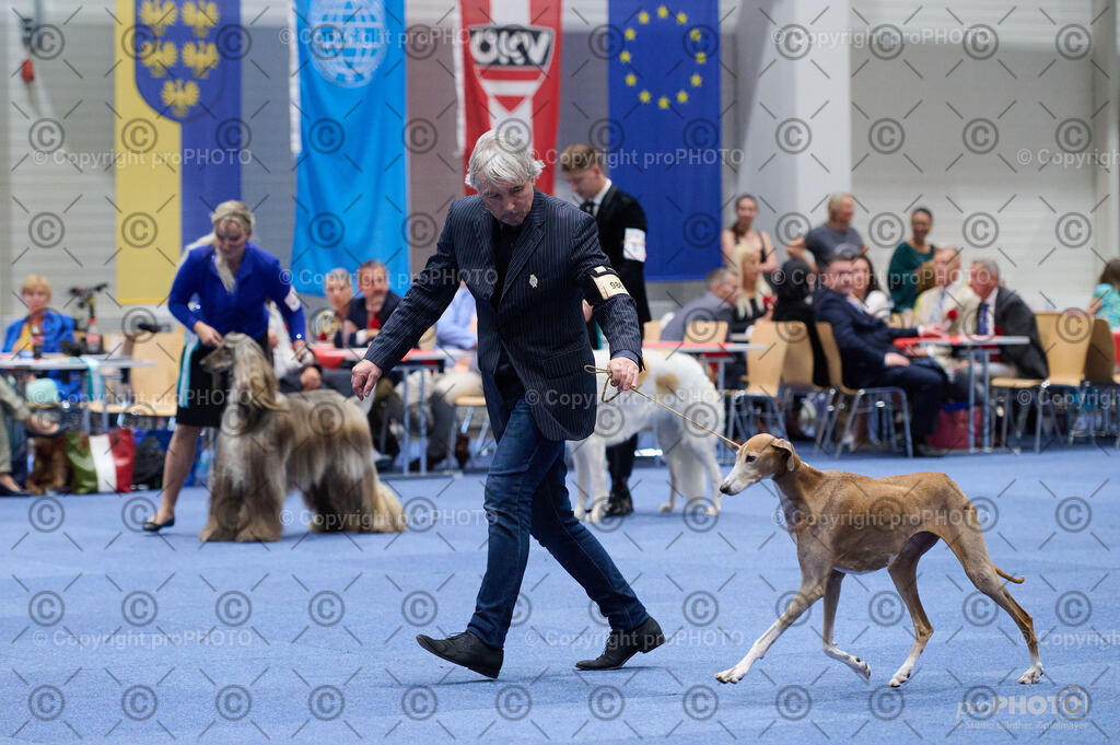 202406_ÖKV-IHA-Tulln24_DSC_3247 | proPHOTO - Realisiert mit Pictrs.com