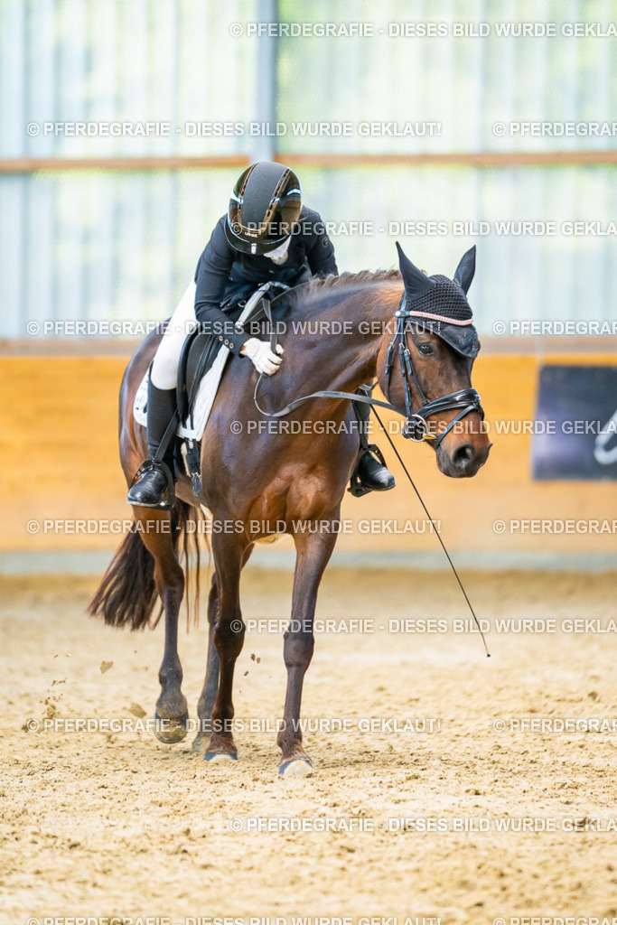 DSC07352 | Pferdegrafie