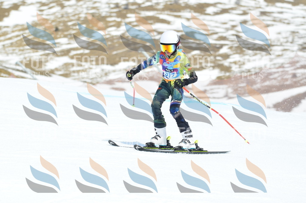 _ELE2411 | holidayphoto