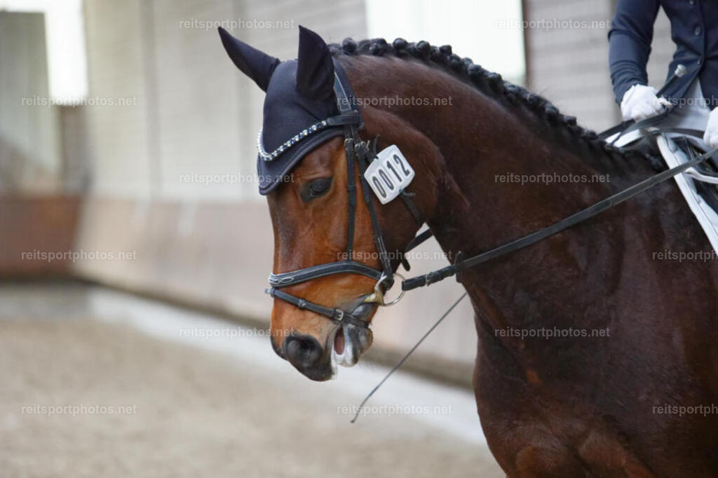 JHE_6270 | JoYa Fotografie - Realisiert mit Pictrs.com
