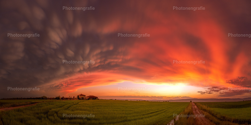 Ingelheim-11 | Photonengrafie´s Shop - Realisiert mit Pictrs.com