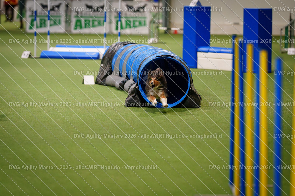 allesWIRTHgut_Tierfotografie-DVG_Agility_Masters_2026-07_16-7R507059 | Professionelle Tierfotografie in Mönchengladbach von Daniel Wirth (allesWIRTHgut). Liebevolle & natürliche Bilder von Hunden & Katzen für unvergessliche Erinnerungen.