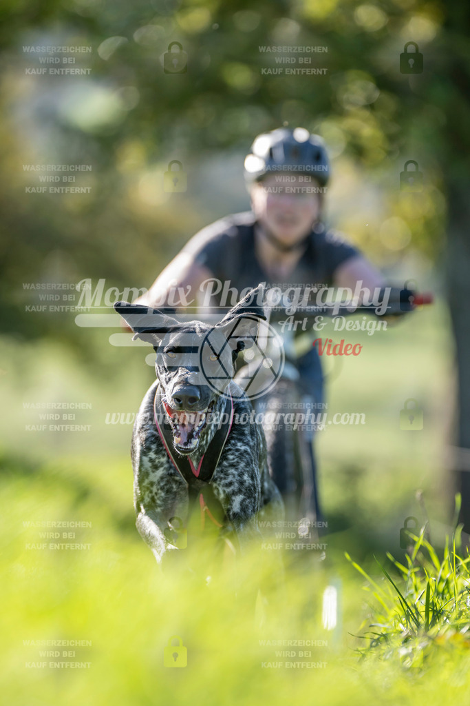 MompixPhotography_20TSB_E3_DS1-39 | PayLife