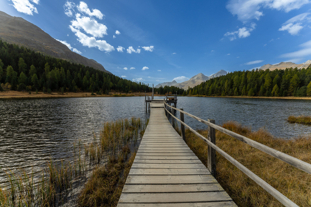 2023_10_09 A7V00520 | bridgeman - Realisiert mit Pictrs.com