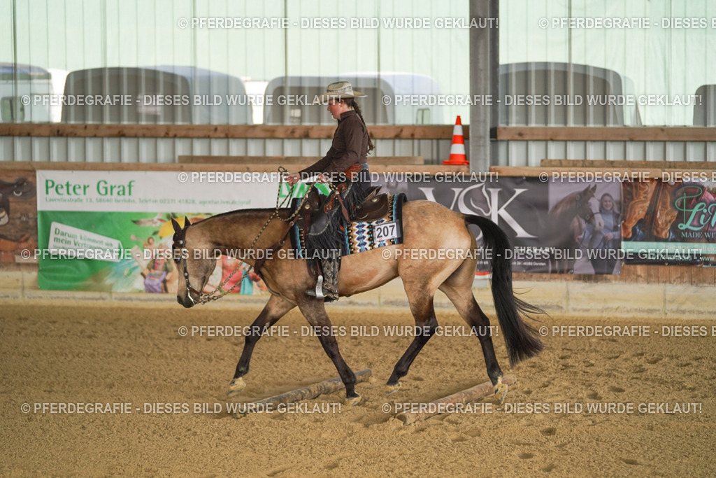 DSC01846 | Pferdegrafie