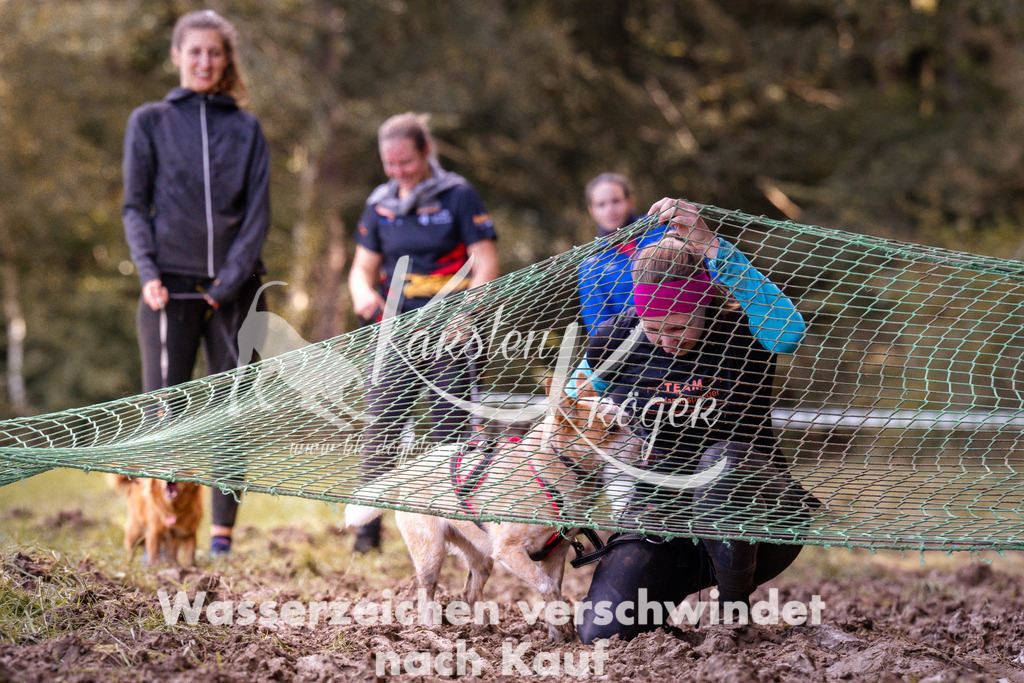 1243_ZZ90739 | kk-dogfotos
