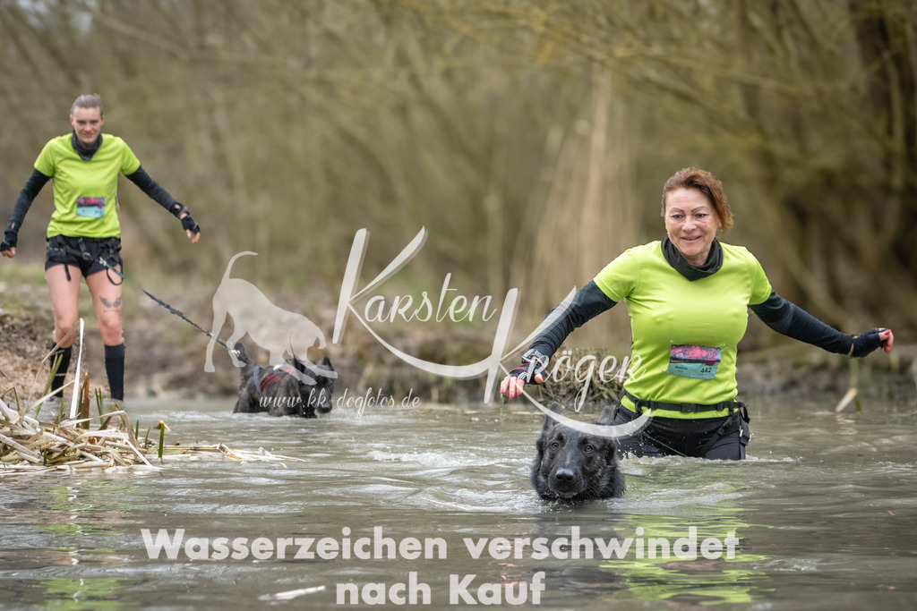 1111_ZZ97013 | kk-dogfotos