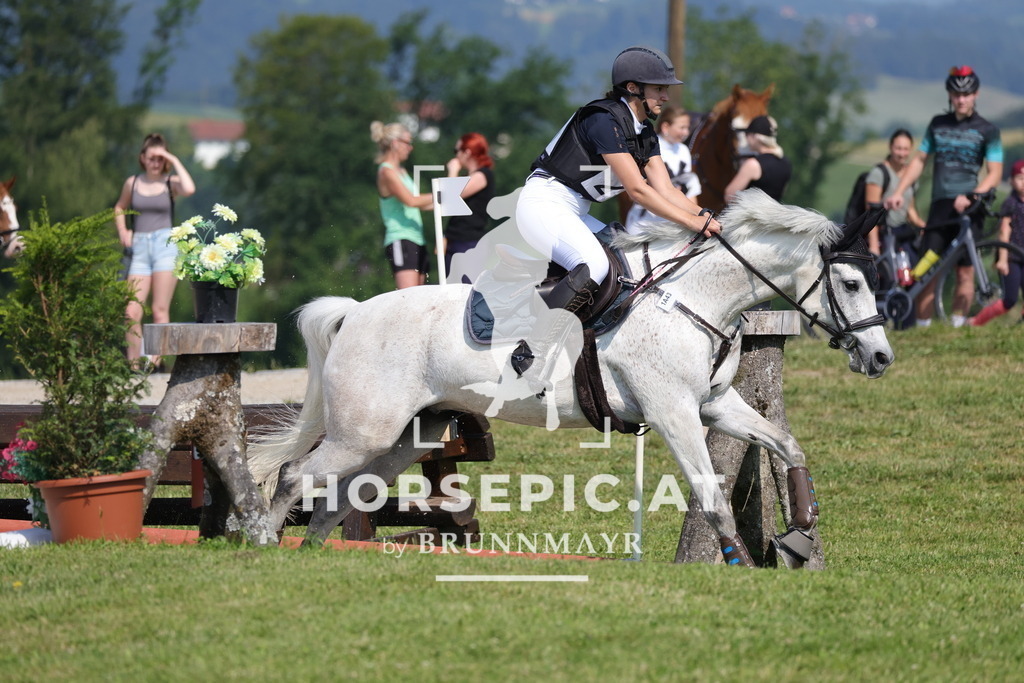 0P6A7626 | Willkommen bei Brunnmayr - Design & Fotografie – Ihrem Spezialisten für Reitturniere und Pferdeveranstaltungen in Oberösterreich, Salzburg und Bayern! Seit über 17 Jahren sind wir leidenschaftlich dabei.
