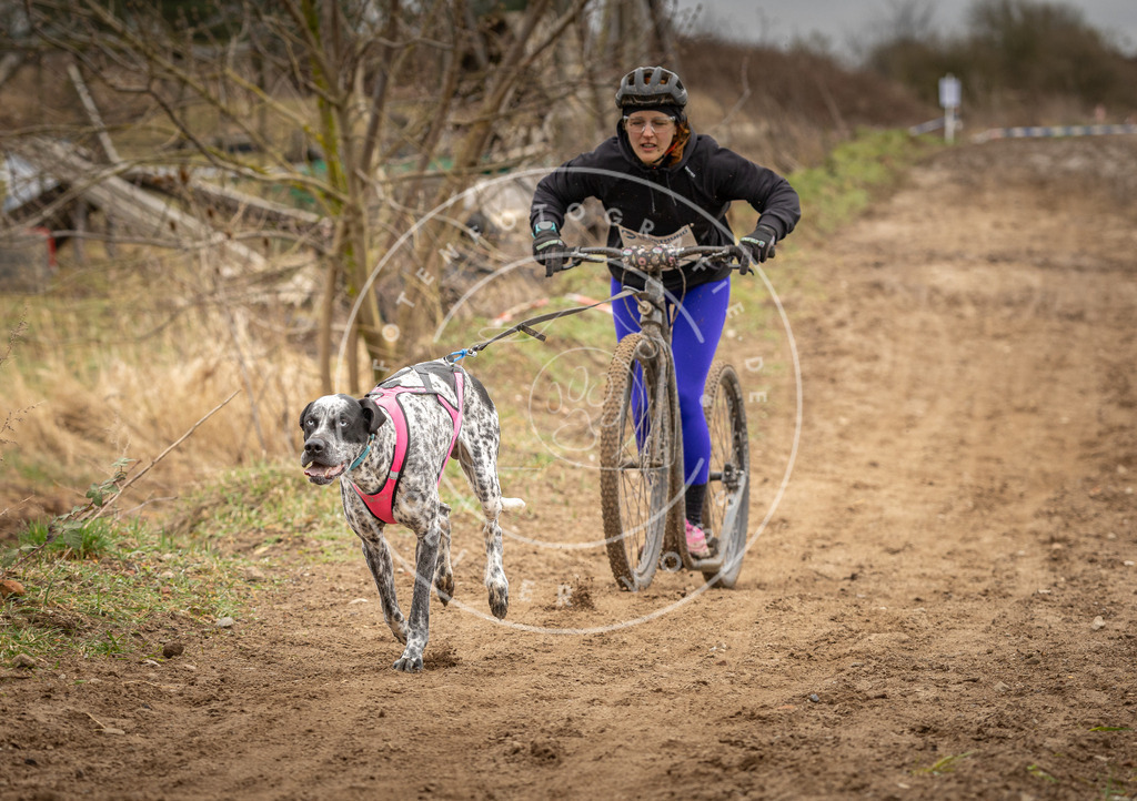 DV3A1293 | Hundefotografie, Tierfotograf, Pfotenfotografie, Fotoshooting Hund, Hunde Portrait, Hundesport, Hundeportraits, Heideshooting, Hunde, Sportfotograf, Hundefotograf, Turnierhundsport, THS,  - Realisiert mit Pictrs.com