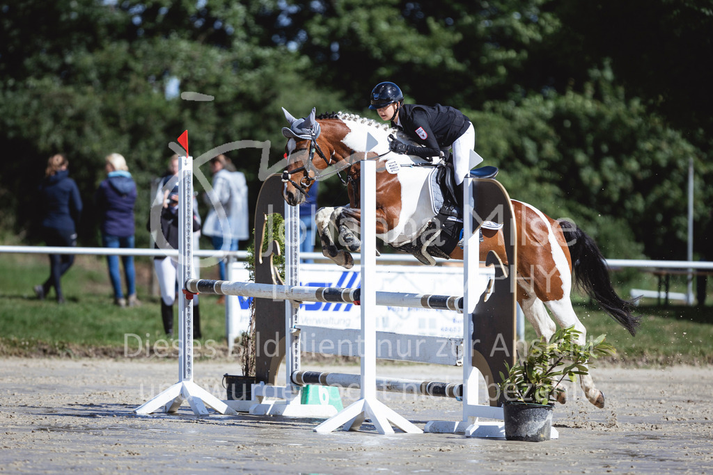240615_CoesfeldLette_Stil-A-230 | Deine schönsten Turniermomente als professionelle Fotos! Entdecke hochwertige Pferdesport-Fotografie im Online-Shop. Jetzt Fotos finden & bestellen!