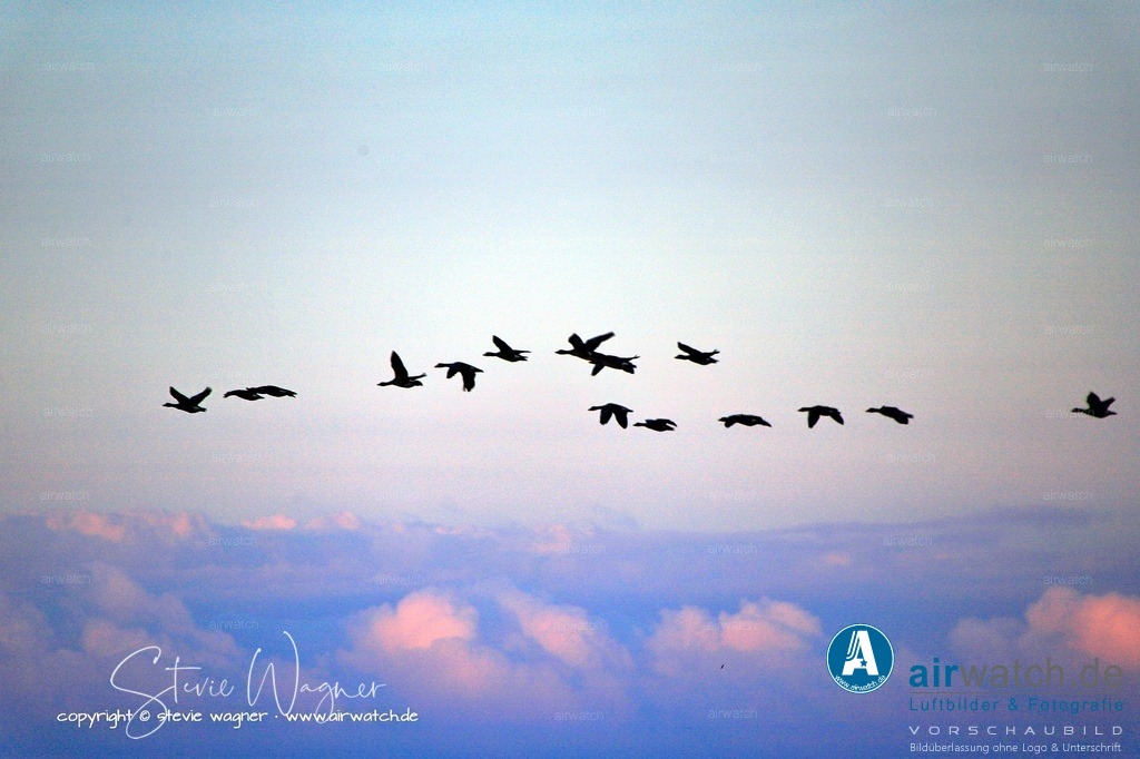_MG_6529 | Entdecken Sie atemberaubende Luftbilder und Fotografien auf airwatch.de - Tauchen Sie ein in eine Welt voller faszinierender Aufnahmen aus der Vogelperspektive.