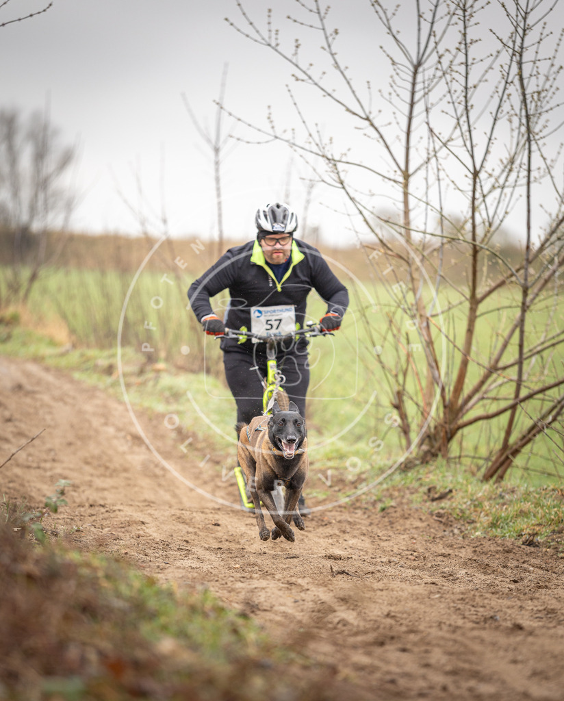 DV3A9295 | Hundefotografie, Tierfotograf, Pfotenfotografie, Fotoshooting Hund, Hunde Portrait, Hundesport, Hundeportraits, Heideshooting, Hunde, Sportfotograf, Hundefotograf, Turnierhundsport, THS,  - Realisiert mit Pictrs.com