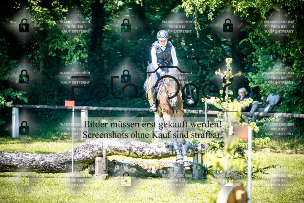 2026-05 - Melle Oldendorf-1-0068 | Entdecke hochwertige Reitturnierfotos von Foto Oger. Professionell, emotional und authentisch – jetzt Lieblingsmomente im Shop bestellen.Deutschlandweite Turnierfotografie. - Realisiert mit Pictrs.com