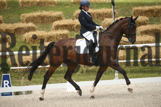 Birkhof_2022_Dressurprüfung_Kl.M_Stefanie Lempart_Nobleman 8 (2) | Alle Fotos der Reiterjournal Fotografin Doris Matthaes im Reiterjournal Online-Fotoshop. - Realisiert mit Pictrs.com