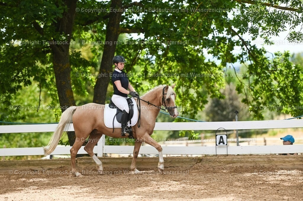 20230715_09_Dressur-WB_0528 | equistock