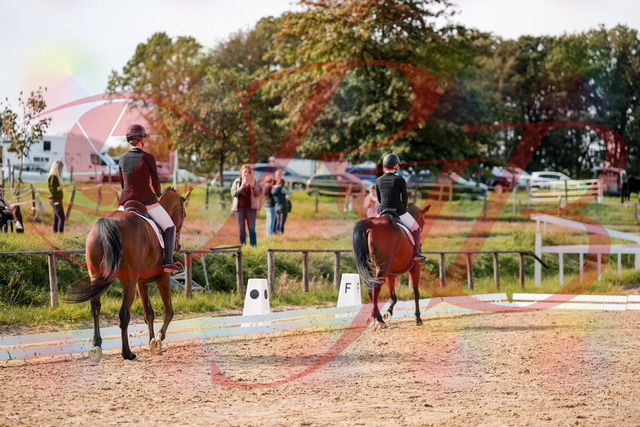 2026_10_03_Siefer-Hof_130946_Z63_71669422 | Professionelle Reitsport-, Turnier- und Eventfotografie von Robert Broda. Galerien mit ausgewählten und bearbeiteten Bildern direkt online ansehen und bestellen.