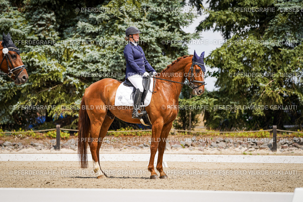 DSC02265 | Pferdegrafie