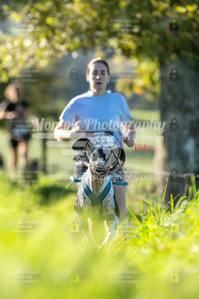 MompixPhotography_20TSB_E3_Run-190 | PayLife