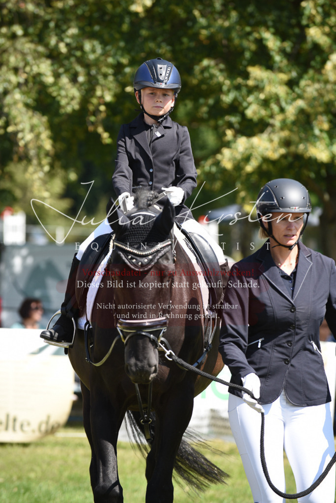 DSC_9745 | Pferde- und Turnierfotografie in Westsachsen. Pferdeportraits, Auftragszeichnungen und intuitive Kunst.