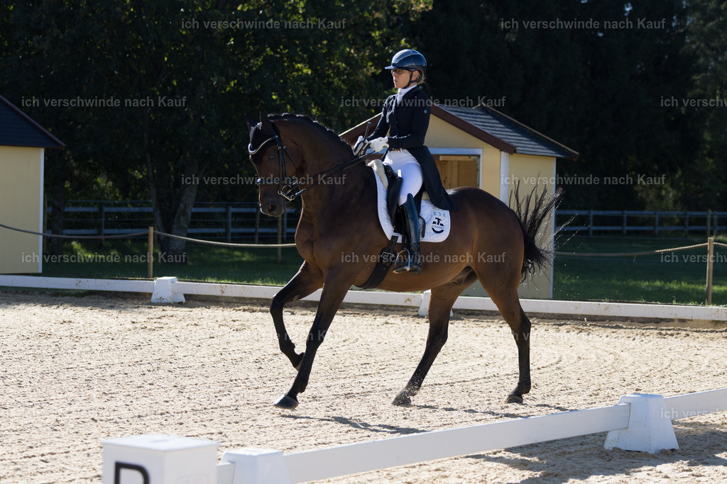 FHC2026_P07_238_17227 | working equitationturnier fotograf videograf stoibphotography marixx film working equitation deutschland reitsport turnierfotografie eventfotografie equestrian events