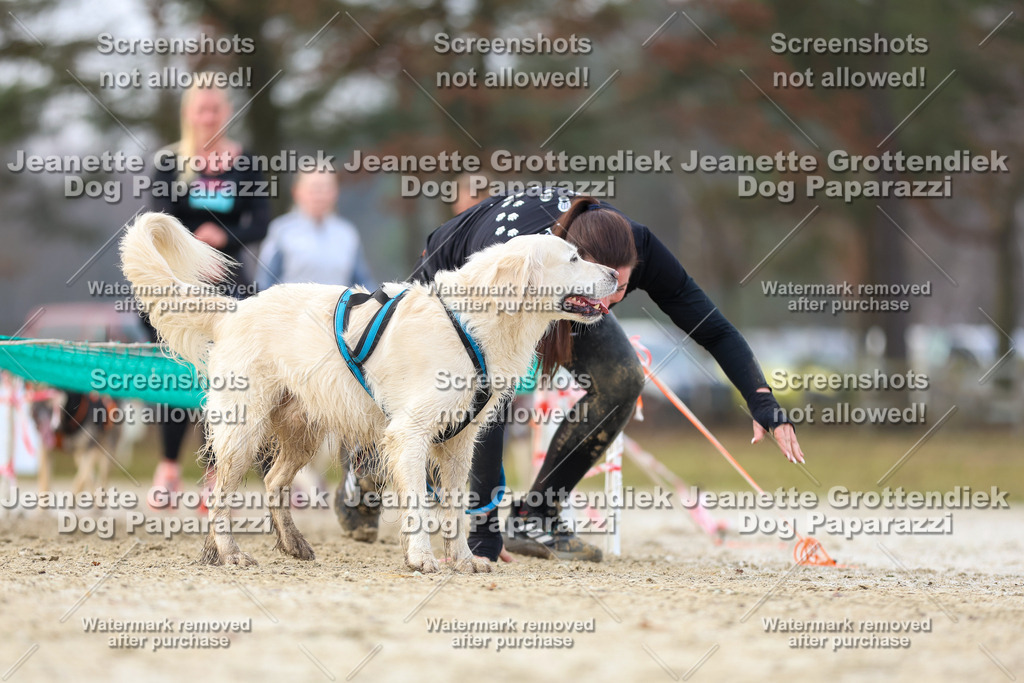 Dog Paparazzi - Strongdog North Mrz26-4155 | Dog Paparazzi Jeanette Grottendiek Fotografie & Videografie - Realisiert mit Pictrs.com