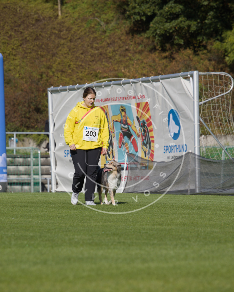 0L8A2333 | Hundefotografie, Tierfotograf, Pfotenfotografie, Fotoshooting Hund, Hunde Portrait, Hundesport, Hundeportraits, Heideshooting, Hunde, Sportfotograf, Hundefotograf, Turnierhundsport, THS,  - Realisiert mit Pictrs.com