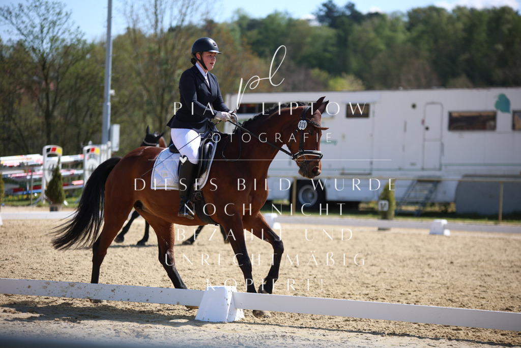 IMGT1622 | pl-fotografie