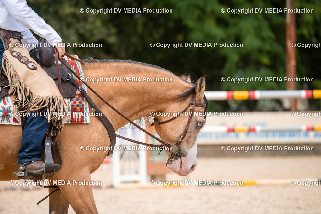 EWP_6580 | dv-media-shop - Realisiert mit Pictrs.com