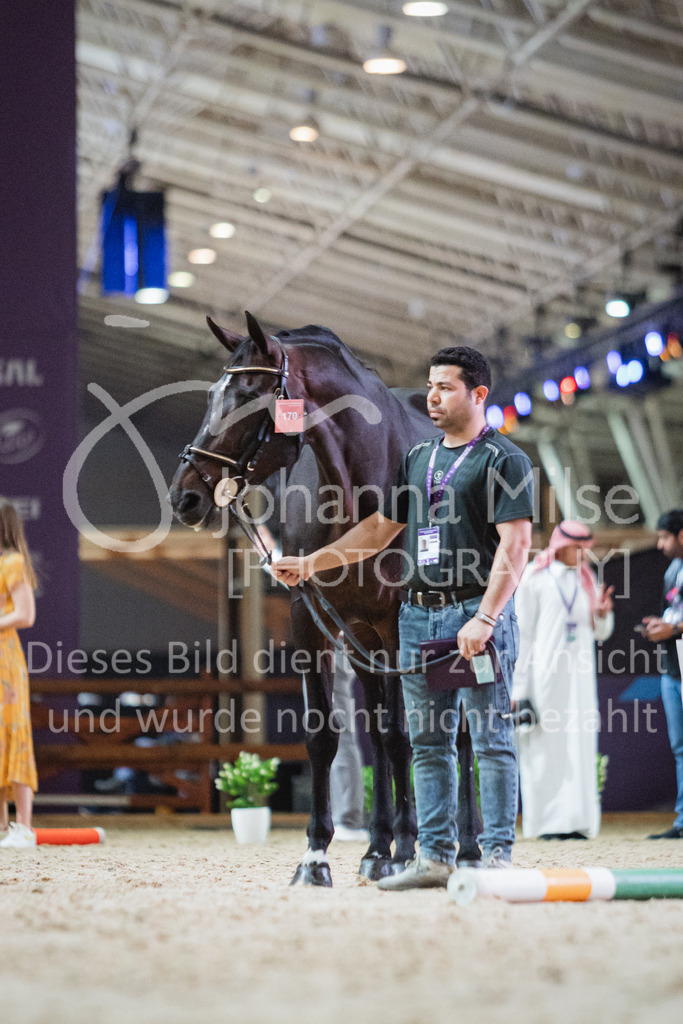 230215_Riyadh_Vet-Check-125 | Deine schönsten Turniermomente als professionelle Fotos! Entdecke hochwertige Pferdesport-Fotografie im Online-Shop. Jetzt Fotos finden & bestellen!