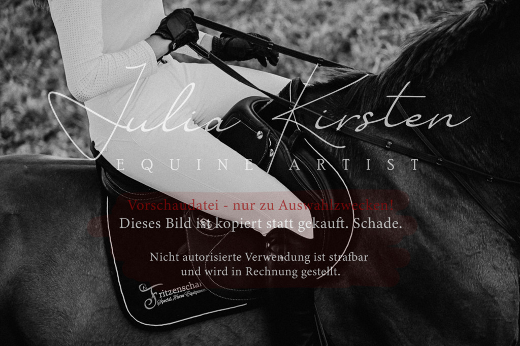 DSC_2311 | Pferde- und Turnierfotografie in Westsachsen. Pferdeportraits, Auftragszeichnungen und intuitive Kunst.