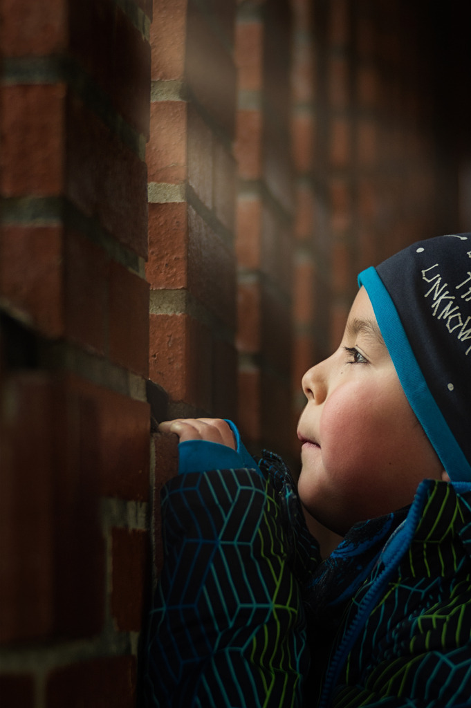 _D4S2700-1 | photoluigi