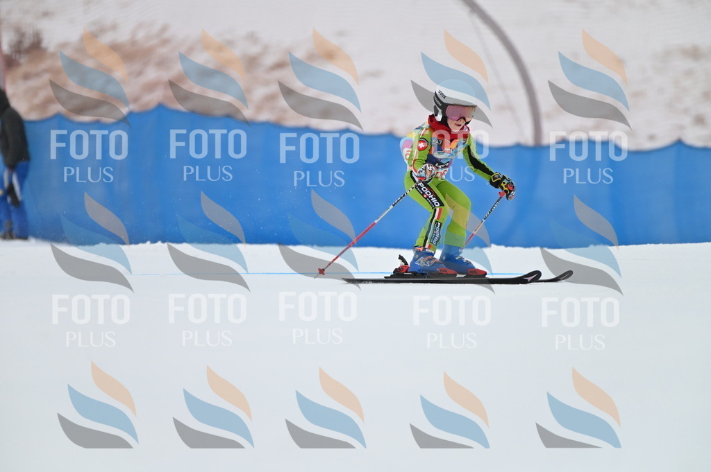 BGV_9336 | holidayphoto