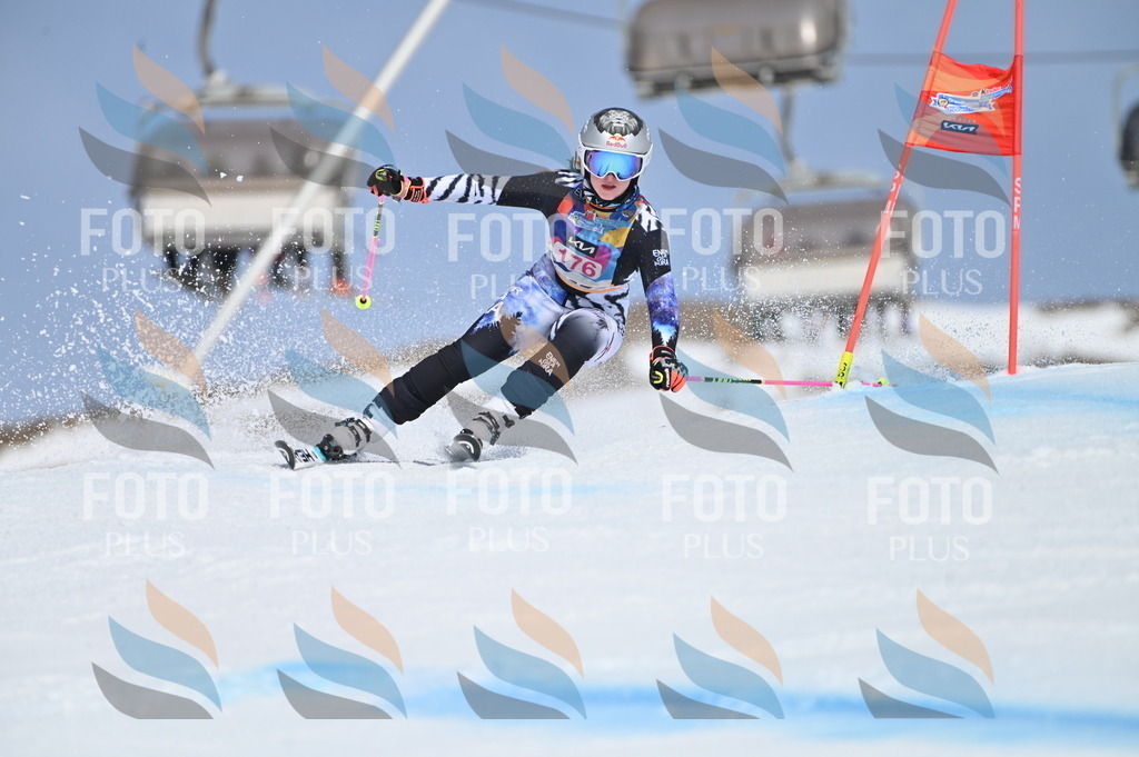 BGV_0532 | holidayphoto