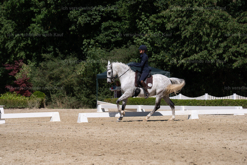 WS_DR_139_sinafilmart_IN03701 | working equitationturnier fotograf videograf stoibphotography marixx film working equitation deutschland reitsport turnierfotografie eventfotografie equestrian events