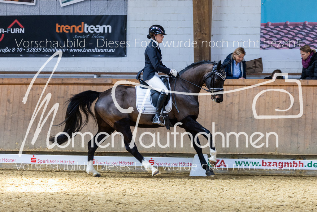 Sth-LPO25-DrR-L-154 | MomenTaufnahmen Pferdesportfotos