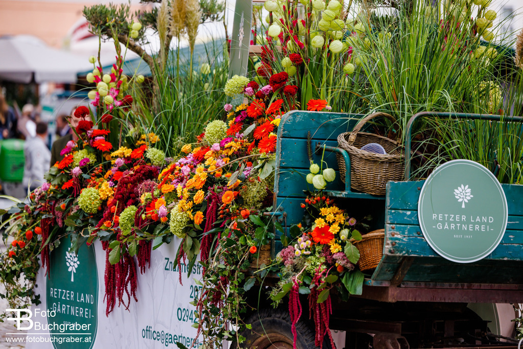 0425_B5_26486 | Foto Buchgraber