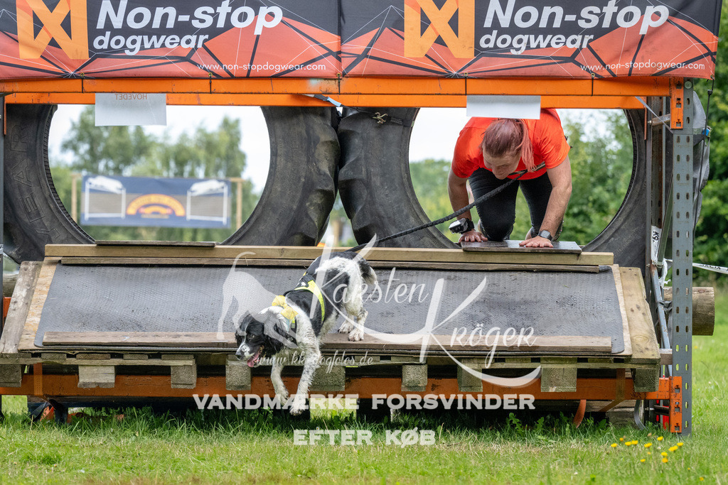 1152_ZZ93179 | kk-dogfotos