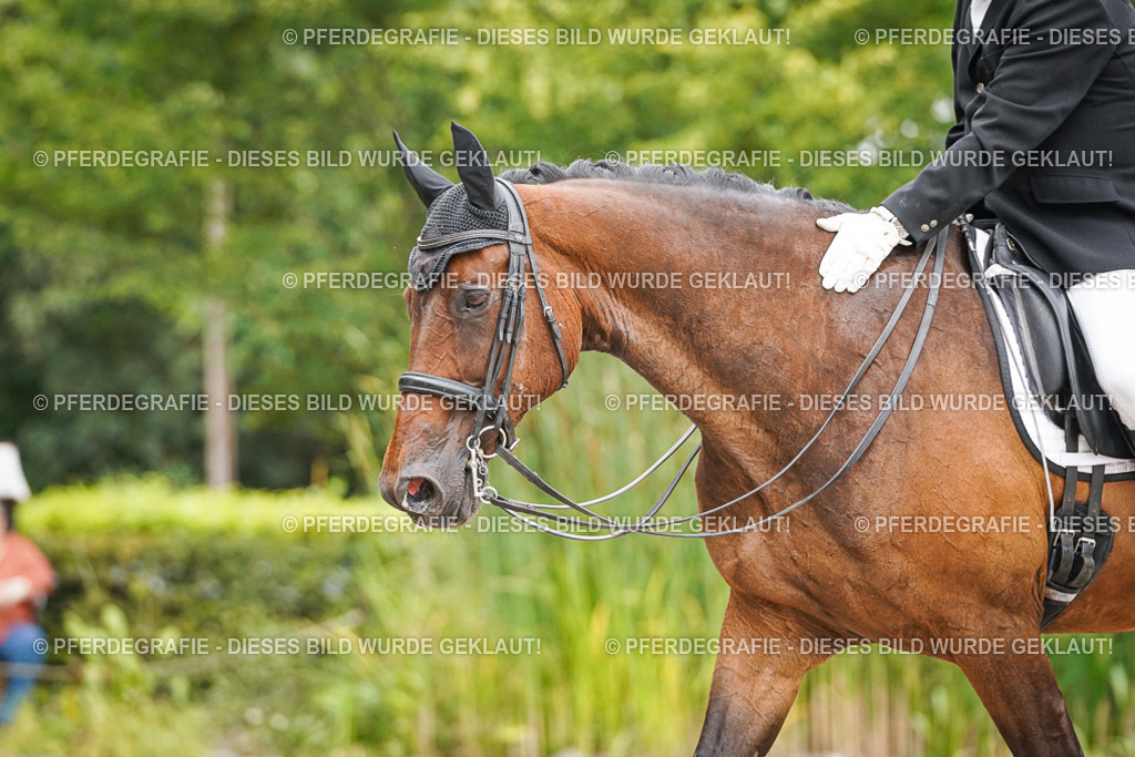 DSC07228 | Pferdegrafie